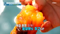 ※집중※ 제철 멍게 안드시면 후회해유!