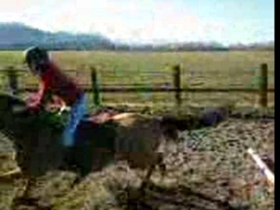 VID025