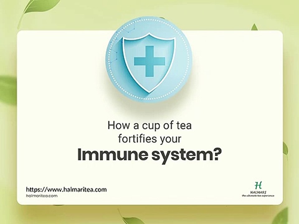 How a Cup of Tea Fortifies Your Immune System