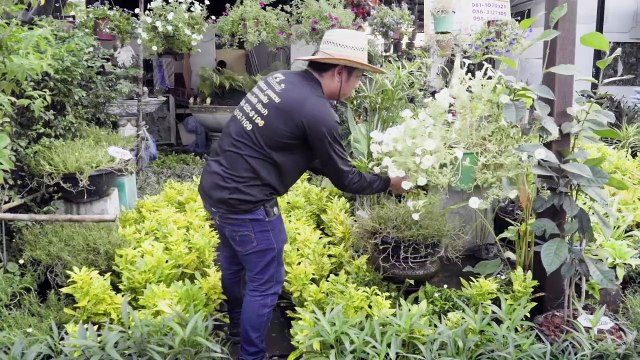 Nissan Navara X บ้านและสวน