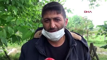 Bahçede buldu, göktaşı olduğunu iddia etti: "Taşı dilimle yaladım, kömür tadı alamadım"