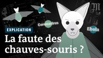 Coronavirus, Ebola, rage : pourquoi les chauves-souris sont à l’origine de tant de virus