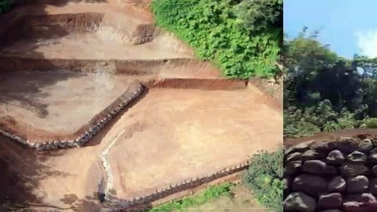 A VENDRE TERRAIN 1160M² HAUTEUR PUNAAUIA (HORS LOTISSEMENT)