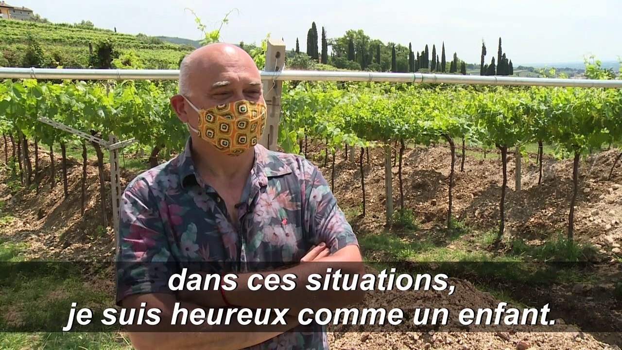 De superbes mosaïques romaines découvertes dans un vignoble proche de Vérone