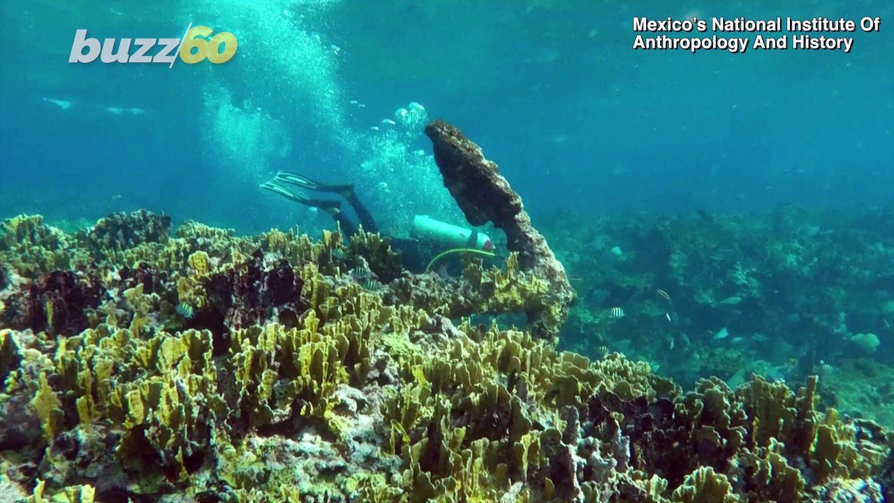 Shipwreck Sighting! 200-Year-Old Shipwreck Discovered by Archaeologists in Caribbean!