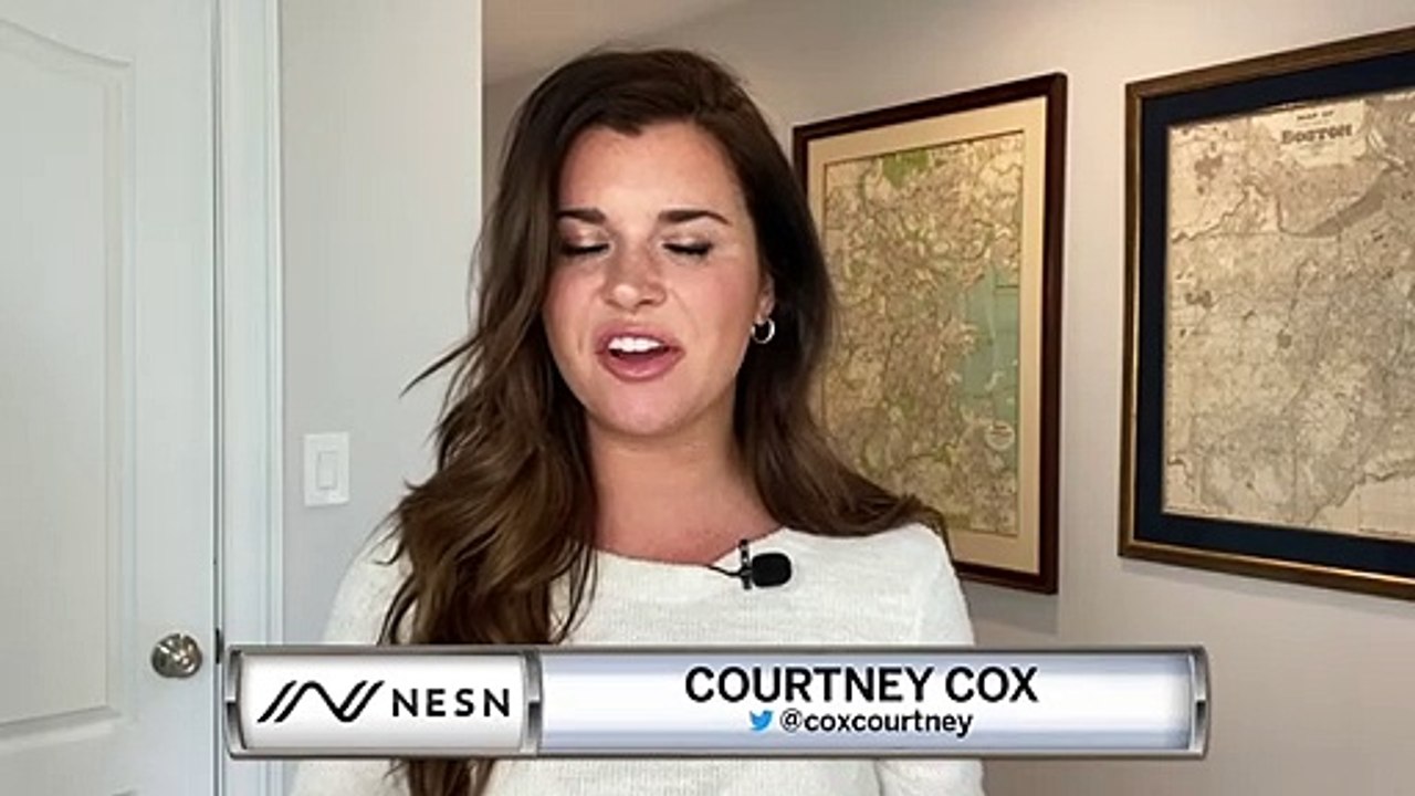 Vegas Golden Knights Unveil New AHL Team Name and Logo