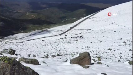 Mayıs Ayında Afyonkarahisar'a Kar Sürprizi