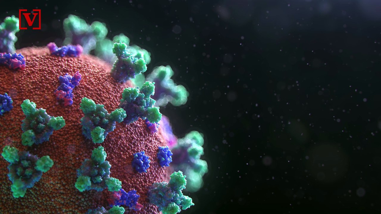 Attention Shoppers: Free Samples Are Set to Return to Costco in June