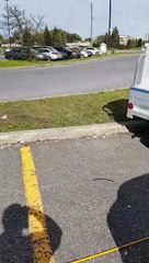 Ils hallucinent en voyant un homme fermer son coffre avec du scotch