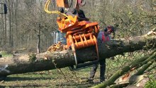 Cutting Trees with an Excavator | Innovative Tree Shear | Forestry and Landscaping