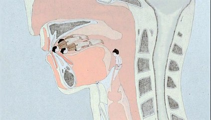 Manipulated Man (Wada Atsushi)