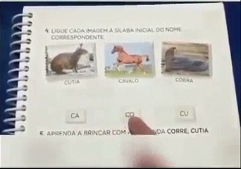 Professora perde a linha durante transmissão de aula pela Internet