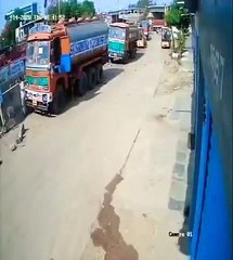 Homem é atacado por leopardo e acaba salvo por cães