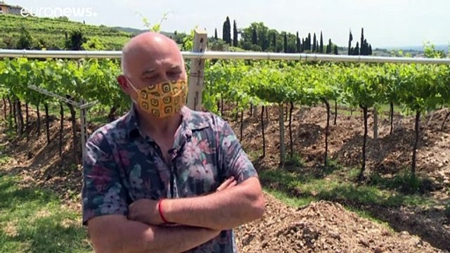 En Italie, sous les vignes, les mosaïques