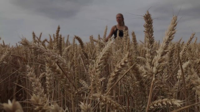 Worum geht es bei uns? Tiny House Tour stellt sich vor | TINY HOUSE TOUR