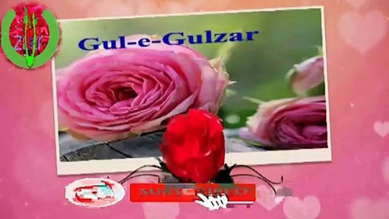 21 ramzan yom e Ali R A