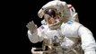 Why NASA spacesuits are white