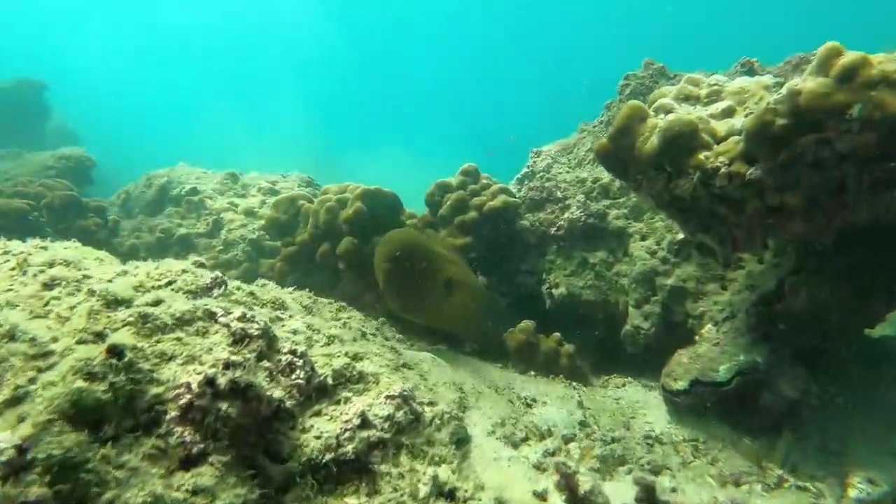 SWIMMING in Costa Rica! top 10 places to visit. best costa rica beaches