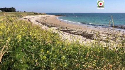 Quiberon  | La Plage de l'Aérodrome  |  TV Quiberon 24/7