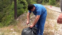 Köpeği huysuzlanınca fark etti, 1,5 metrelik engerek yılanını plastik kovayla yakaladı