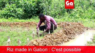 Production du riz au Gabon