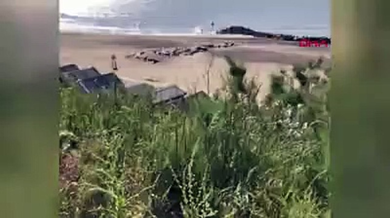 İngiltere'de 12 metre uzunluğundaki dev balina sahile vurdu