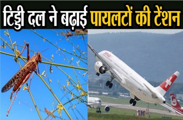 टिड्डी दल ने बढ़ाई पायलटों की टेंशन