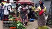 Le Kongo Bololo, célèbre plante médicinale utilisée notamment dans le traitement du paludisme, s’est vendu en masse comme depuis l’annonce des cas du COVID-19 en RDC le 10 mars. Suivez ce reportage de Gloria Mbuya, Journaliste à 7sur7