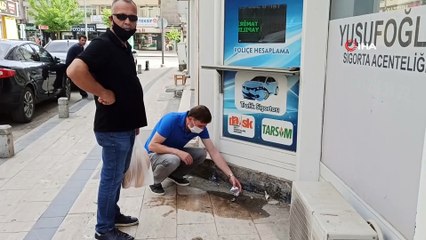 Video herunterladen: Yuvadan düşen kuşu kurtarmaya çalışan esnafın çabası yetmedi