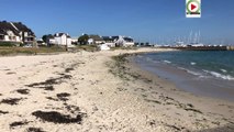 ️  QUIBERON  |  Dynamique Plage du Porigo - TV Quiberon 24/7