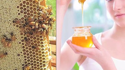 Download Video: शहद के फायदे और स्वास्थ्य लाभ | Health Benefits Of Honey