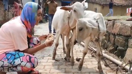 Akshara Singh का यह वीडियो देख आपका दिल खुश हो जाएगा