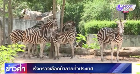 ข่าวค่ำ ช่วงที่ 4 วันเสาร์ที่ 30 พฤษภาคม 2563