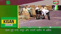 Kisan Bulletin : खत्म हुई Gram(चना), Lentil(मसूर) और Mustard(सरसों) खरीद के अधिकतम सीमा | Grameen News