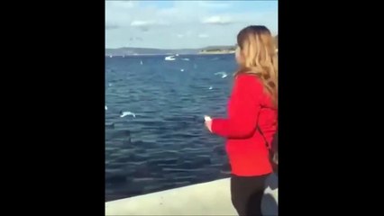 Elle nourrit les oiseaux en leur jetant... son smartphone. Oups...