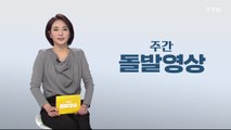 [주간 돌발영상] 2020년 5월 다섯째 주  / YTN