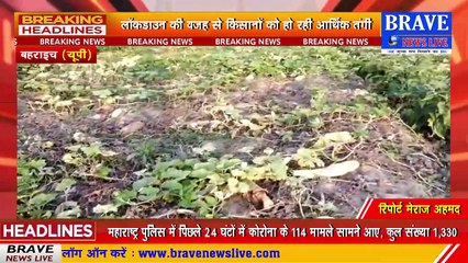 #Bahraich : लाॅकडाउन की वजह से किसानों के सामने उत्पन्न हुई आर्थिक तंगी की समस्या, फल व सब्जी हुई खराब | BRAVE NEWS LIVE