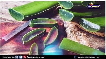 கற்றாழையின் அழகு குறிப்புகள்..!