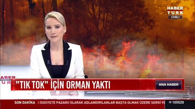 TikTok için orman yaktı! Tik Tok videosu hüsranla sonuçlandı