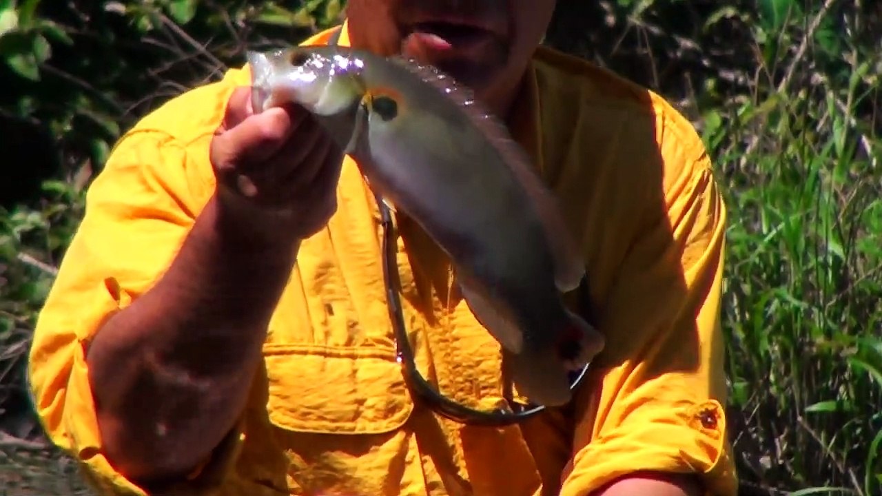 Pescaventura