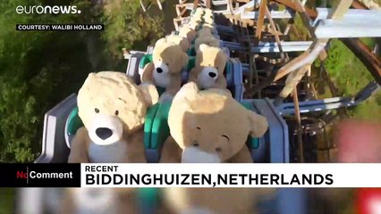 Ехали медведи на "американских горках"