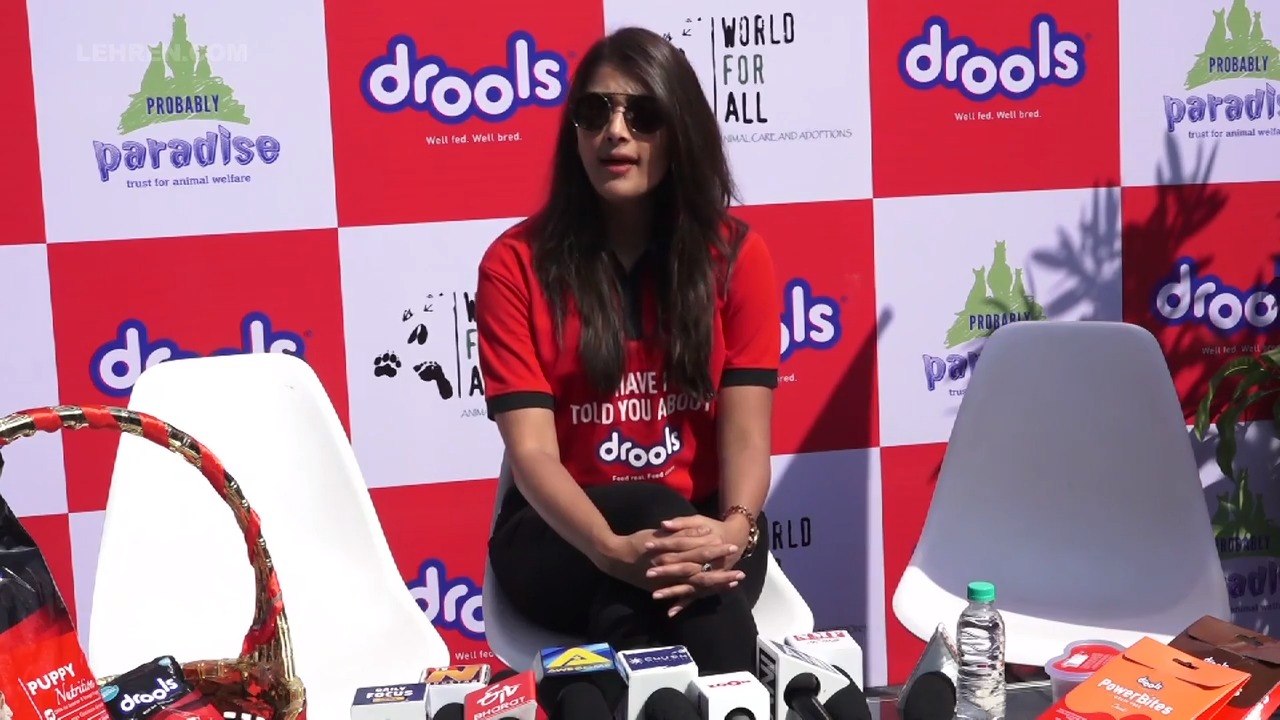 Pooja Hegde Shares An Important Message After Damage In Australian Wildfires