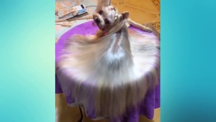 Oddly Satisfying Video Compilation - Relaxing Music that Makes You Sleepy 3