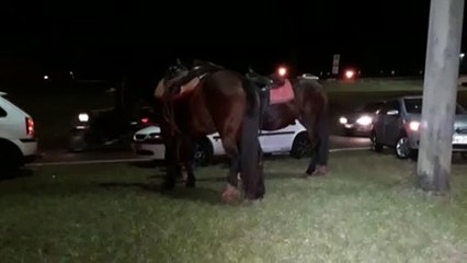 Jovem fica ferida após ser atingida por carro enquanto cavalgava nas proximidades do Trevo Cataratas