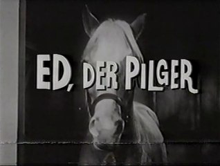 Mr. Ed - 061. Ed, der Pilger