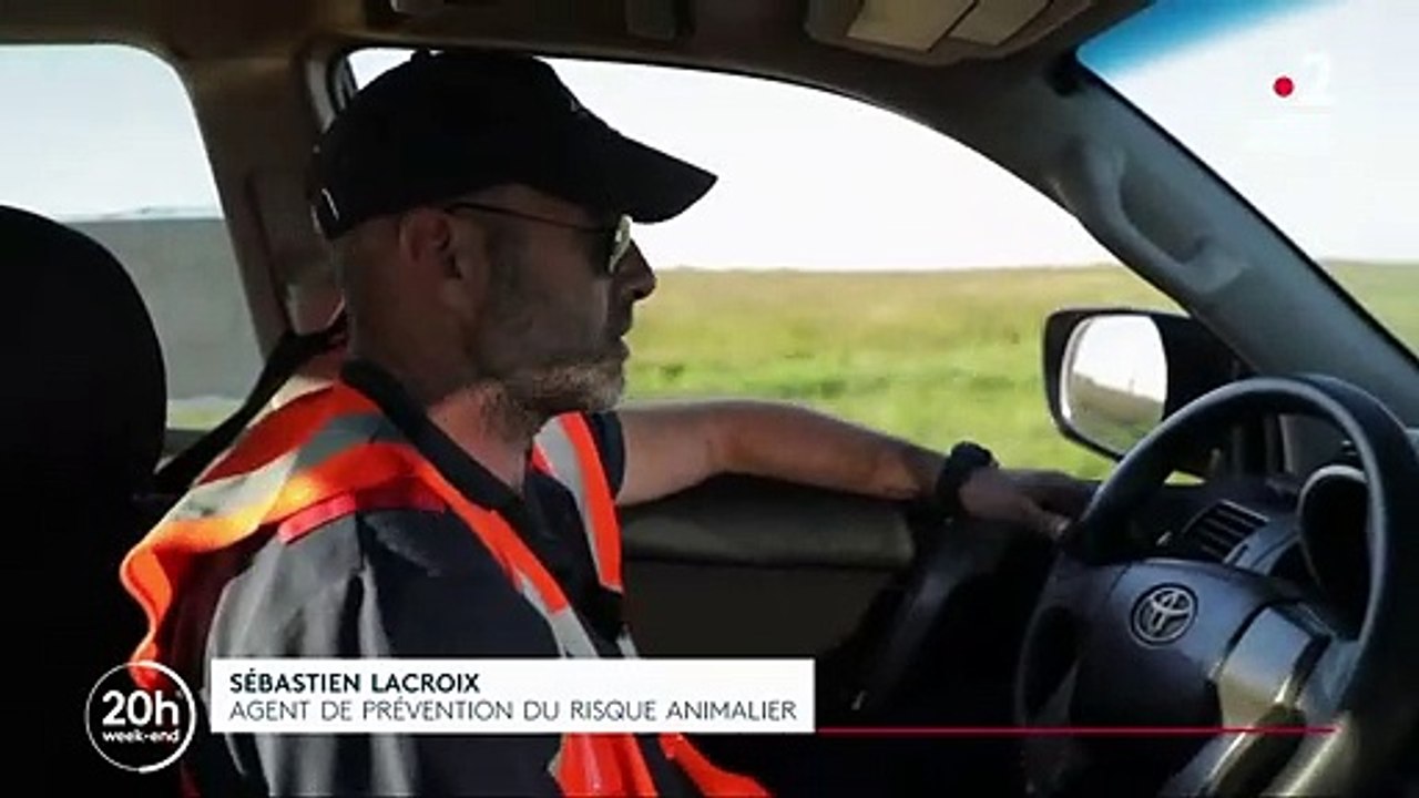 Coronavirus : avions cloués au sol, salles d'embarquement vides... Quand Orly se transforme en aéroport fantôme