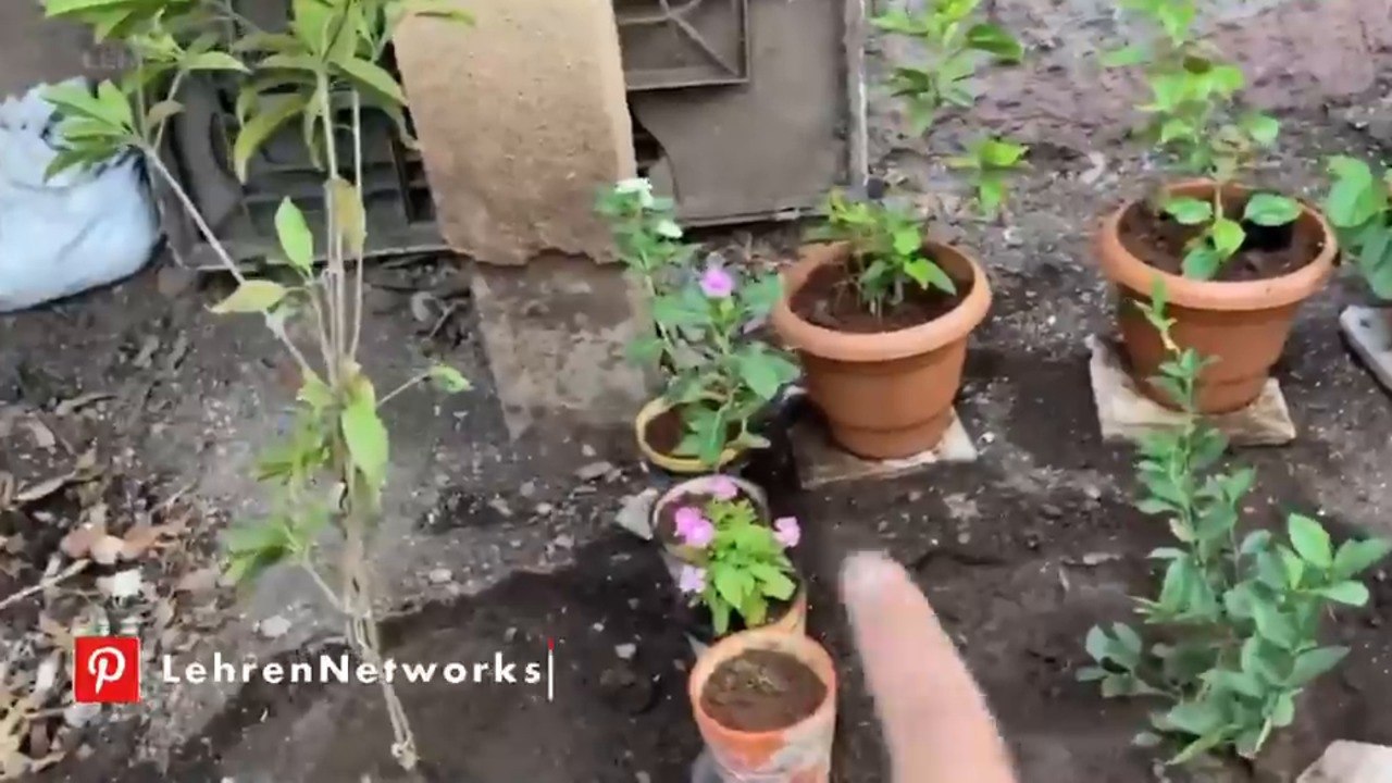 प्राजक्ता माळी आणि तिच्या गार्डनचा टूर