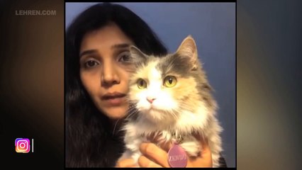 मराठी कलाकारांनी ने माहिती दिली कि जनावरांमुळे Coronavirus पसरत नाही