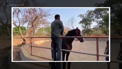 Salman Khan Enjoys Horse Riding During Lockdown