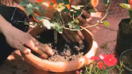 शिव ठाकरेने प्रकृतेचे मानले आभार